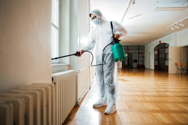 Best Pest Removal Services  in Horse Cave, KY